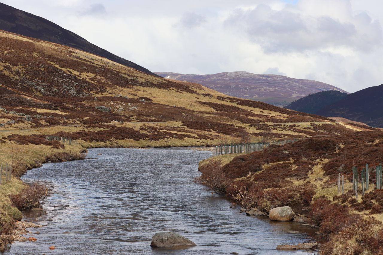 A Guide to Scotch Whisky Regions and Investing