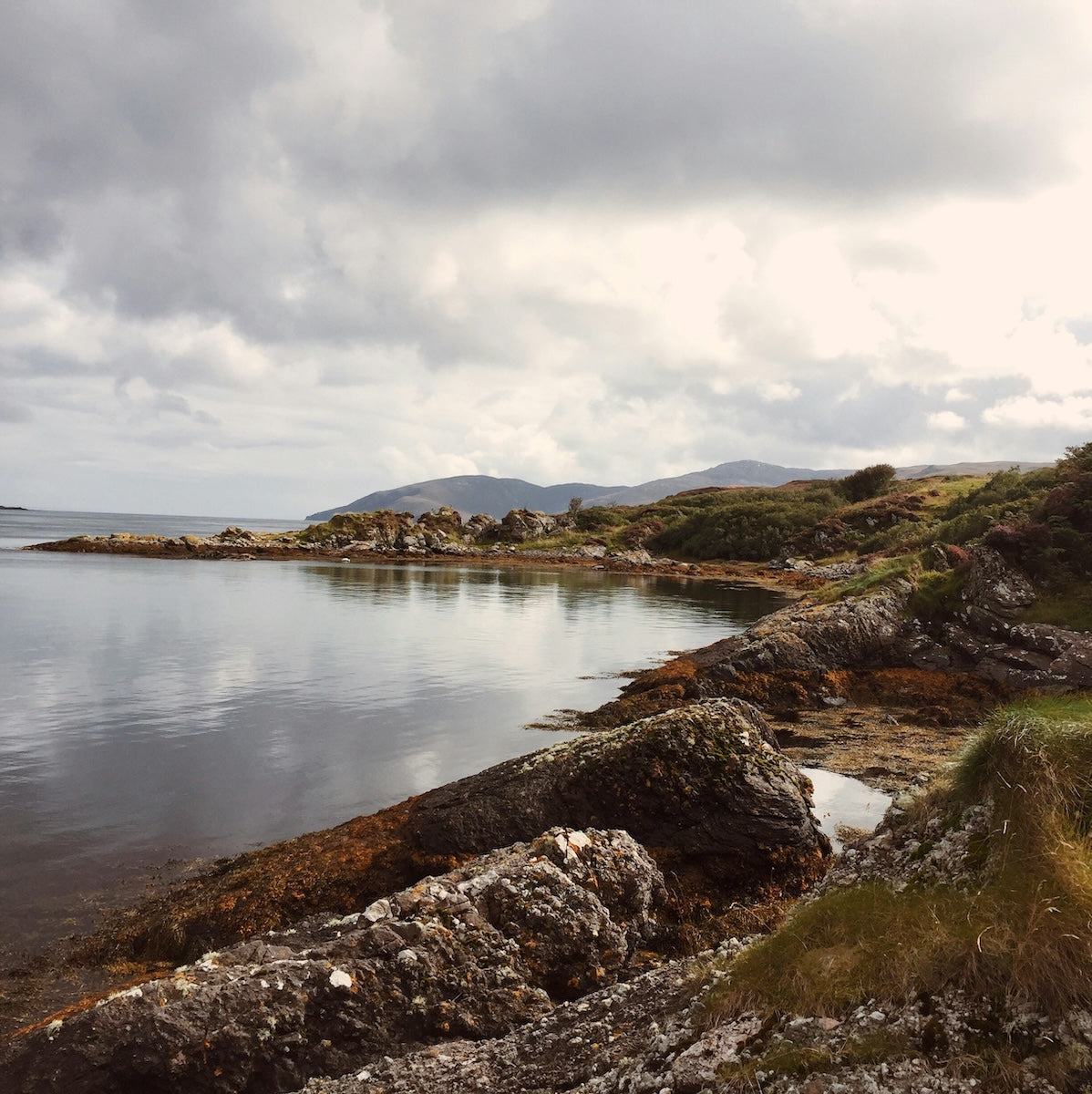 Buy Islay Whisky Casks